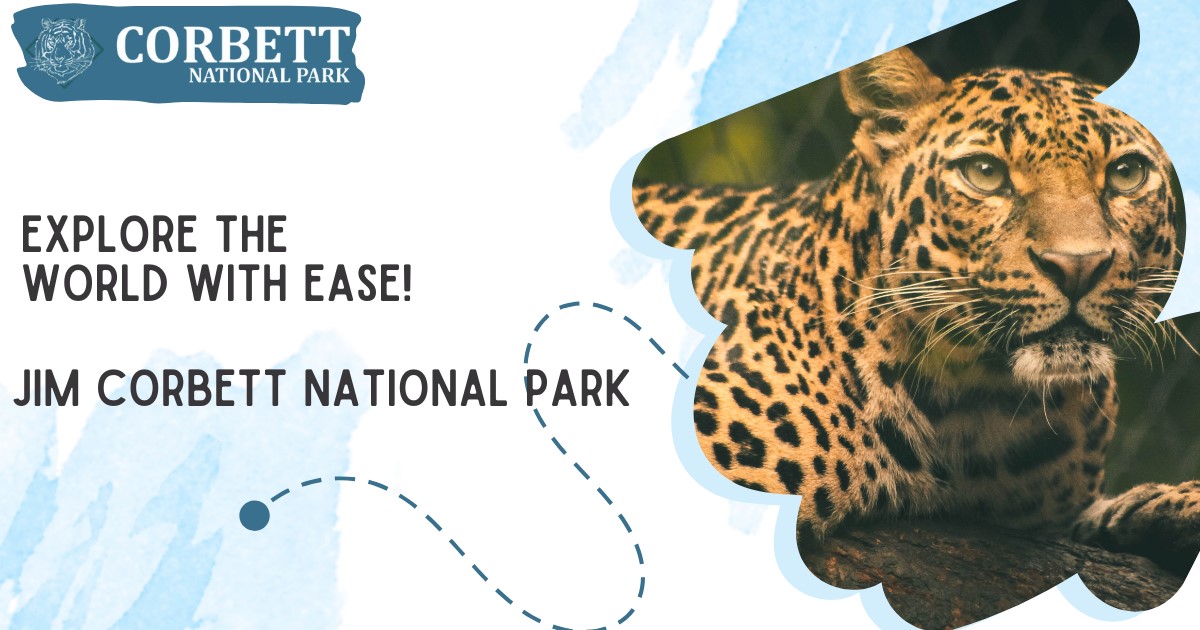 Scenic view of Jim Corbett National Park with river, forest, and wildlife in natural habitat